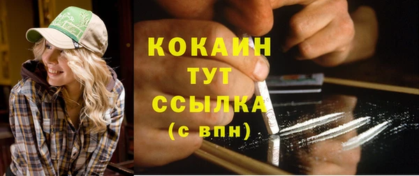 альфа пвп Няндома