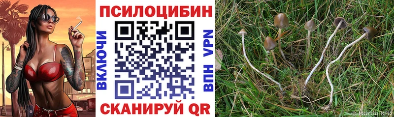 Псилоцибиновые грибы мухоморы  Родники 