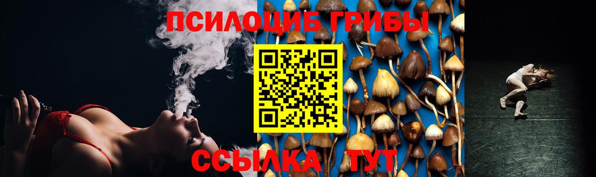 Родники  Галлюциногенные грибы GOLDEN TEACHER  Псилоцибиновые грибы Cubensis  Вход с VPN 